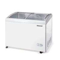Congelador Consumer De 400 LTS P/ Helado