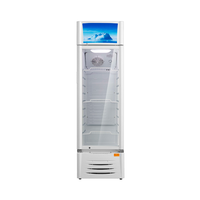 Visicooler Midea 300 Litros