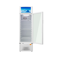 Visicooler Midea 300 Litros